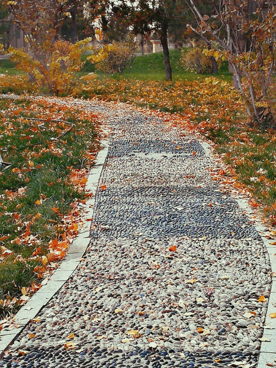 晚秋的石子小路