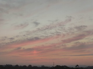 1000056882