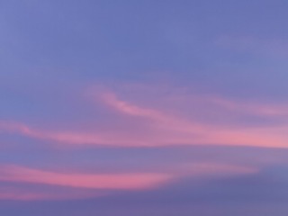 1000062524