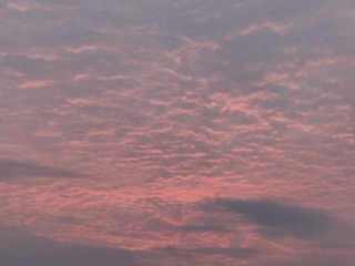 1000050625