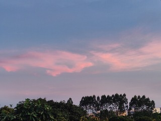 1000064461