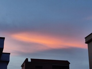 1000062531