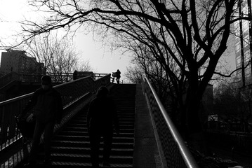 665CF1E4-E8DE-48C9-9A90-5D183A7C4B99/L0/001
