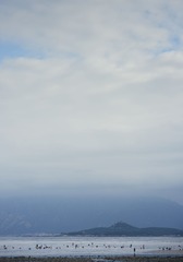 1000018195