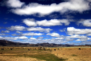 IMG_1910_