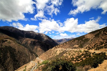 IMG_2459_
