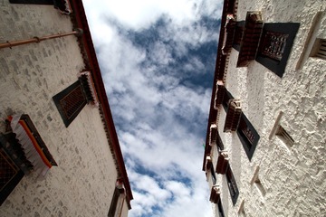 复件 IMG_2896_