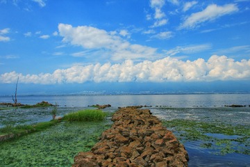 IMG_6986-01