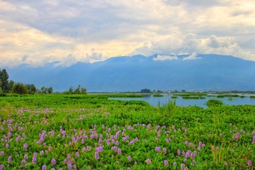 IMG_7234-01
