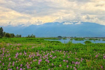 IMG_7233-01