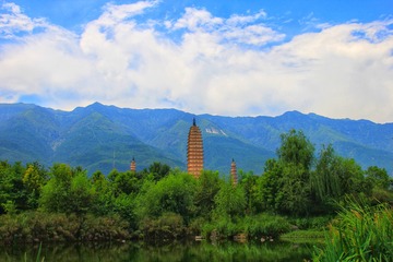 IMG_6801-01