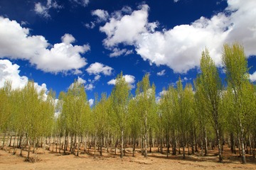 IMG_2103_polarr