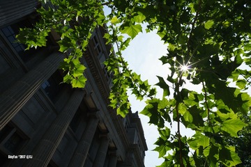 DSC03339-90%-荫，standard