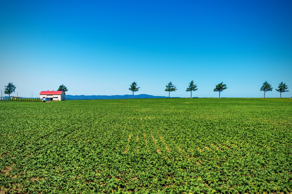大地的本色,简单朴素,就是美