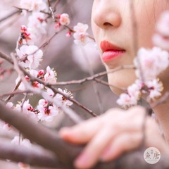 _MG_0375-编辑(1)