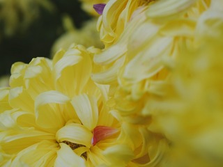 C8DC20D5-9628-4E34-A720-4983D71A51E9/L0/001