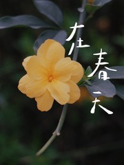 04D9682C-8023-4B53-9B25-517DB4C94134/L0/001