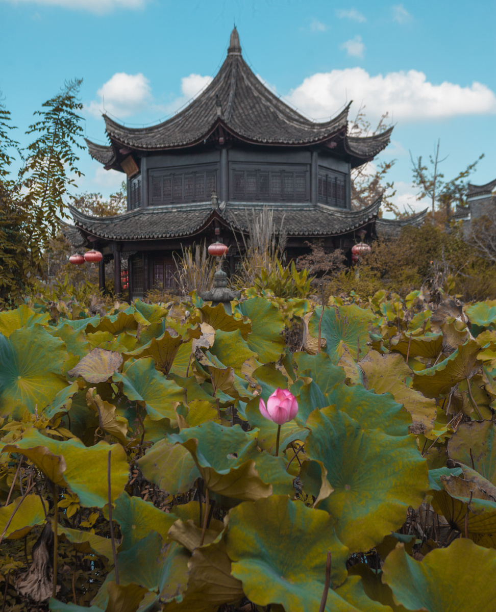 宁波梁祝公园
