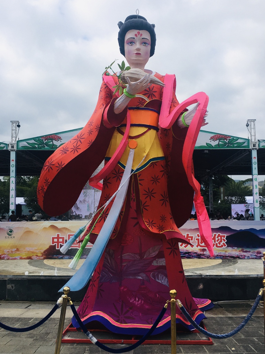 文山三七节三七姑娘