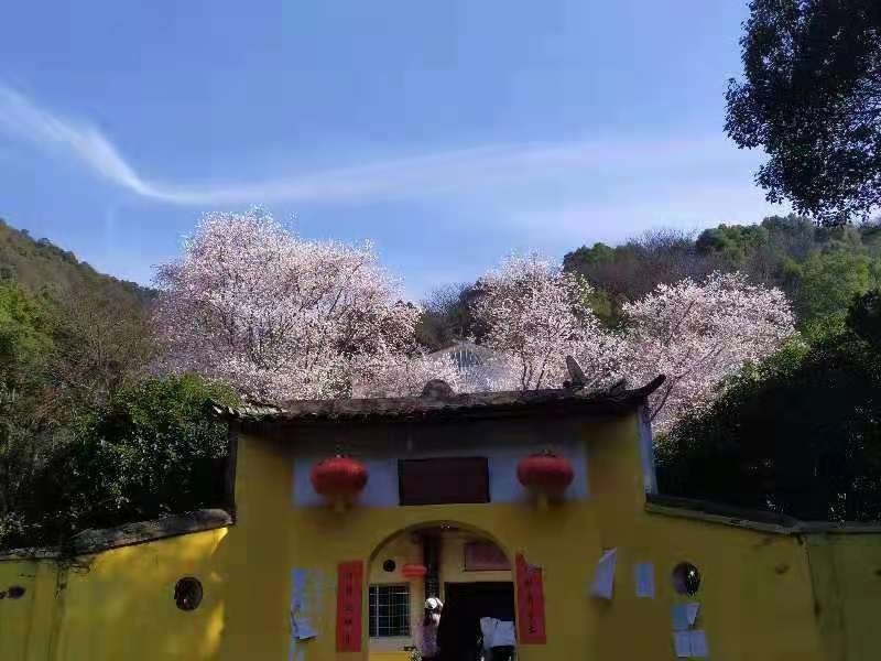 九江方竹寺春色满园. - 代代图配诗 - 图虫