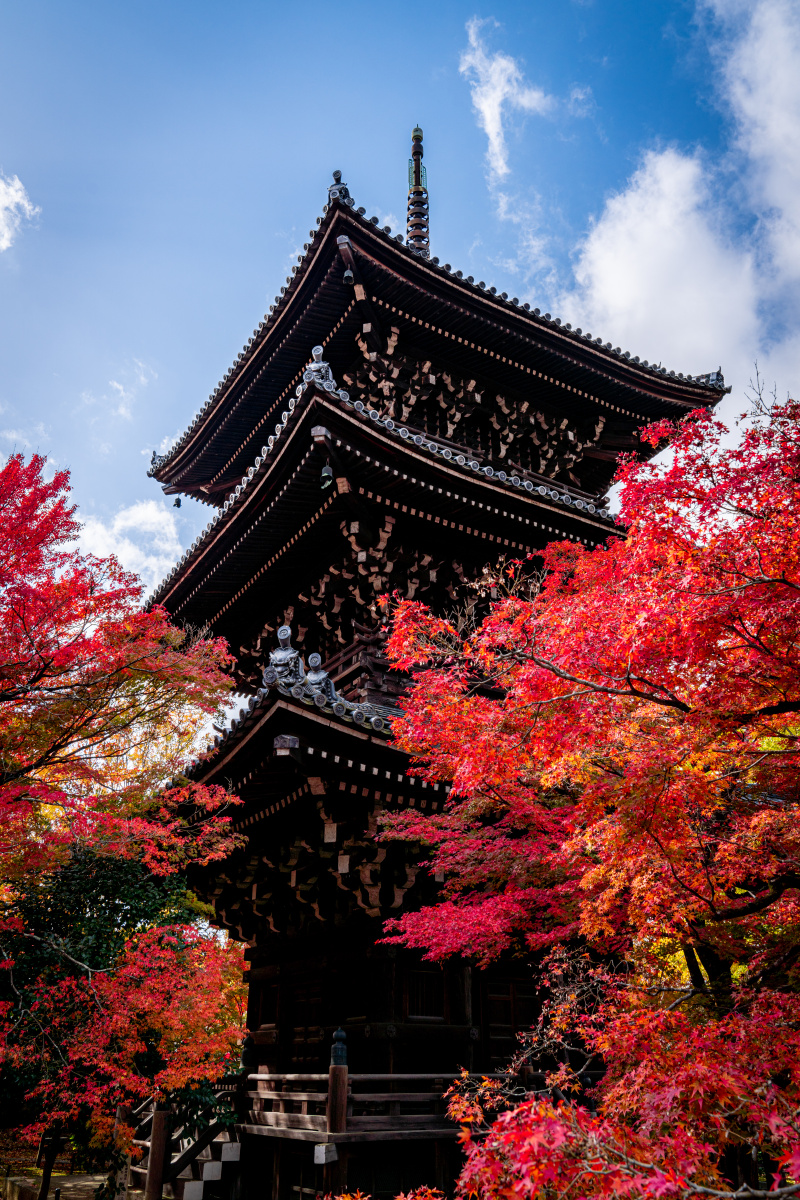日本 京都 真如堂 真正极乐寺 - qqqbbh - 图虫