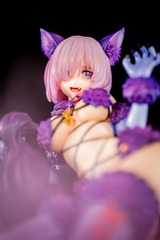 48119