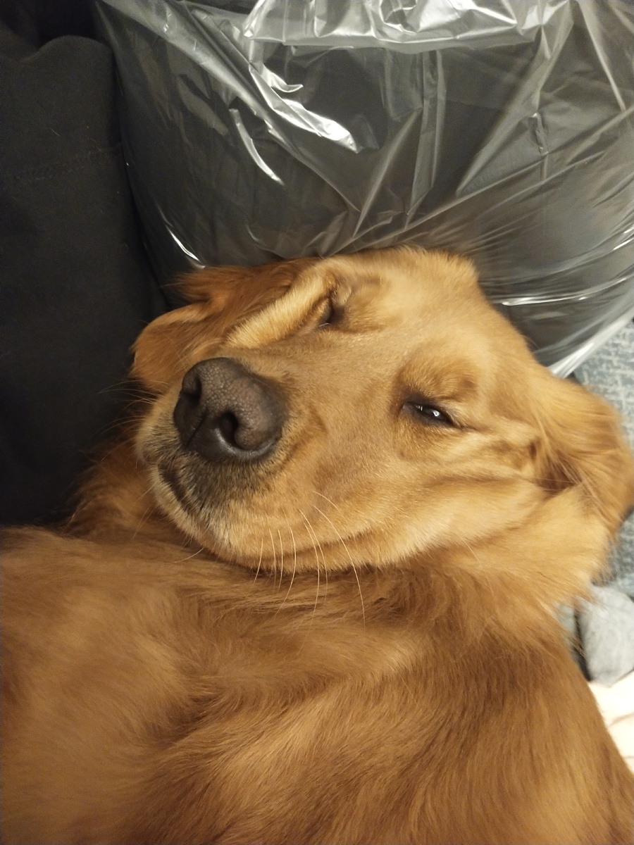 给你个眼神你自己体会