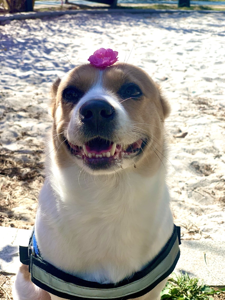 笑容逐渐放肆…… - 世界的定格 - 图虫