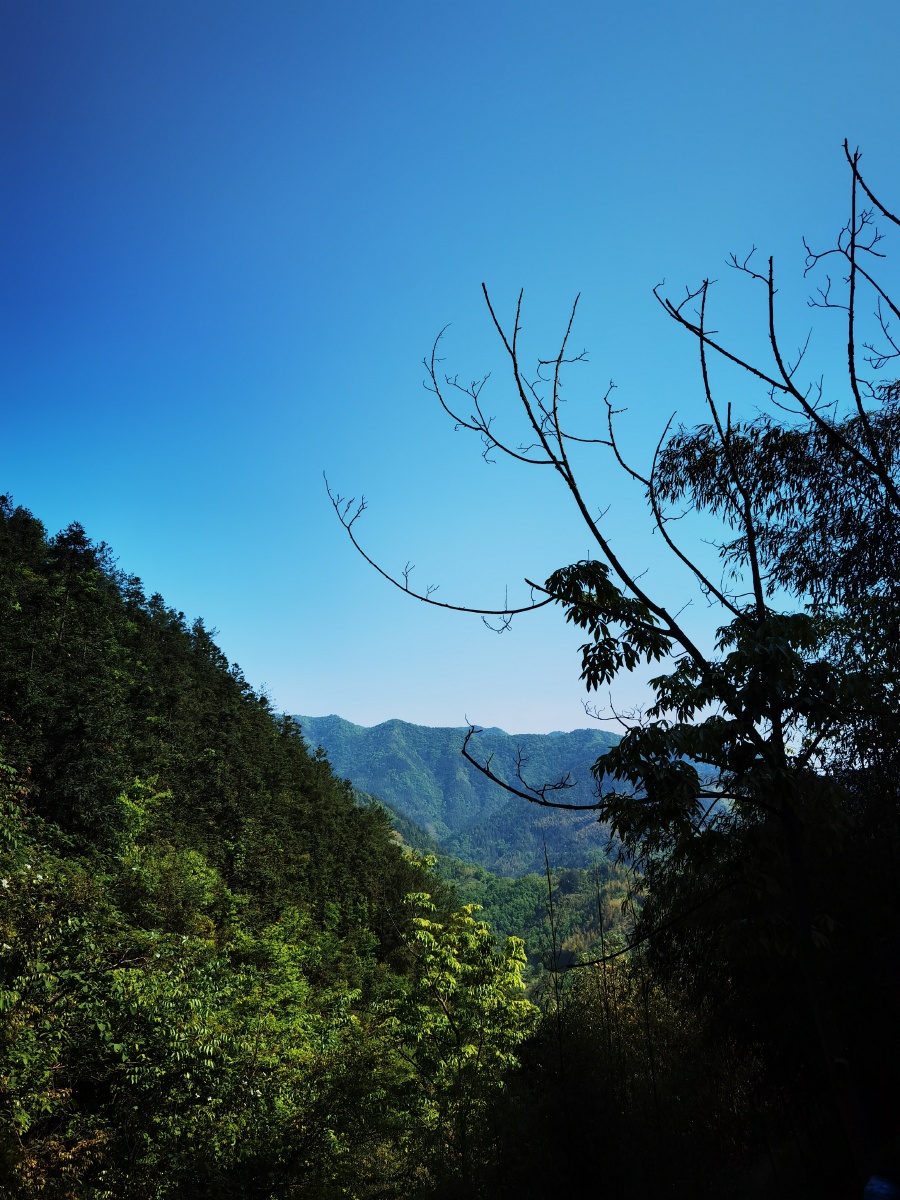 安徽绩溪县山野美景