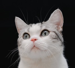 27956