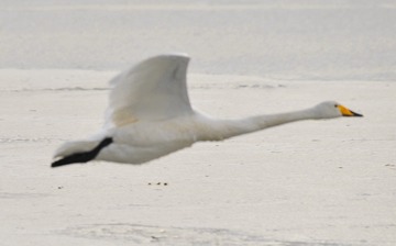 2012--烟墩角（原照）0780