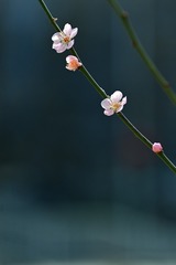 130106