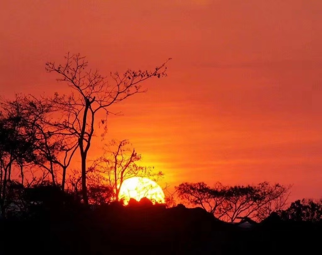 浮云游子意落日故人情挥手自兹去萧萧班马鸣