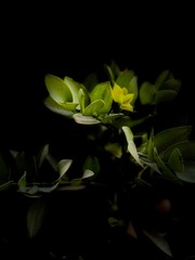 9142D109-75EA-4394-A0BC-0E62B2DA6DCE/L0/001