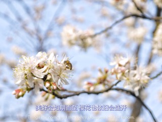 4DF22C5E-F48F-40E1-A84C-C28E6C9FEEEC/L0/001