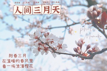AD3B1112-FD7F-4DF8-92B8-52F77A52754C/L0/001