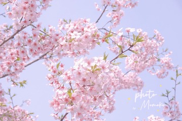 53457C3A-459A-4A3A-94CE-22DE90ED1E92/L0/001