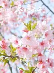 69E01A5F-C51D-4D24-B8F6-48C36AA9159B/L0/001