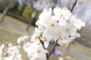 624826F3-D50D-48FE-913A-F171D675A491/L0/001