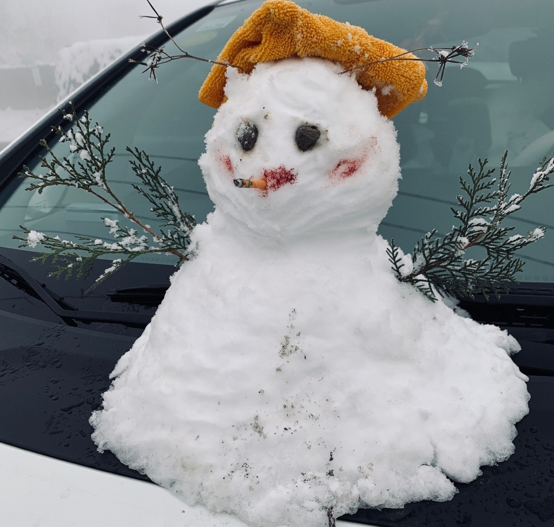 冬天的第一场雪堆了一个可爱的小雪人加油每一天