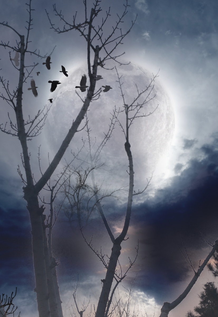 夜的寂静像一盏孤灯将银河的星辉点燃