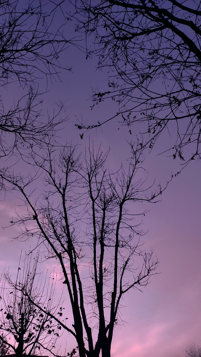 夜的寂静像一盏孤灯将银河的星辉点燃