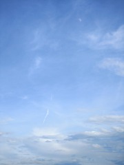 1000017011