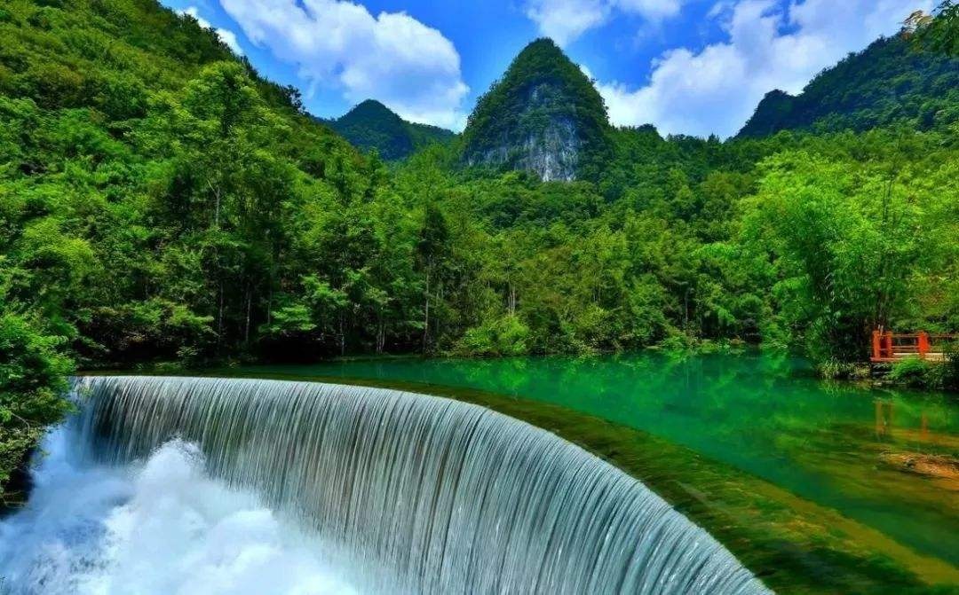 山美水美花关注