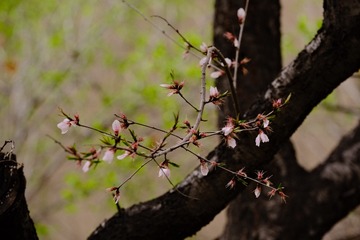 74F255A6-CCEA-44DB-9DCE-918CA1263387/L0/001