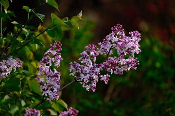 9C1F8A5B-F080-48B5-9B65-62825B45E004/L0/001