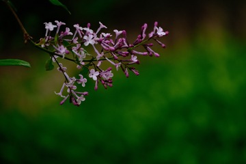 C2B3596F-21D9-415D-947A-C8A57E233AE3/L0/001