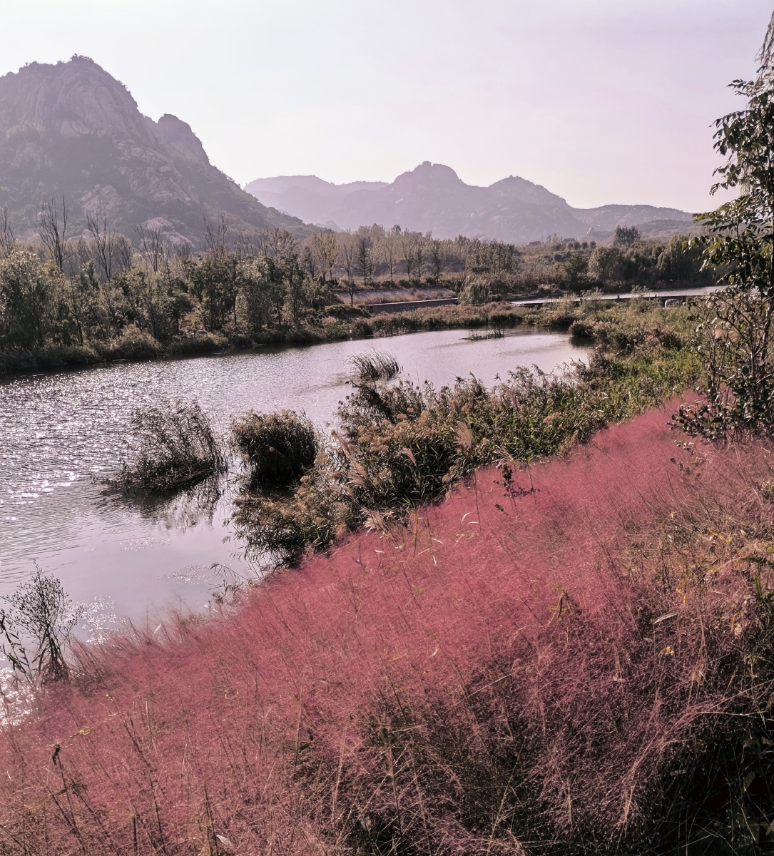 远望的青山潺潺流水充满诗意的粉黛子