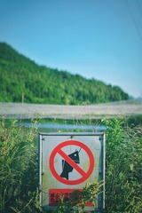Optional(