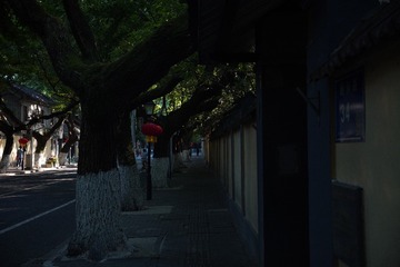 8154B946-E7AC-47F3-BF83-99E844B4AC78/L0/001